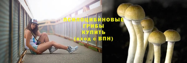 стафф Армянск