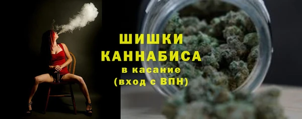 прущий лед Дубна