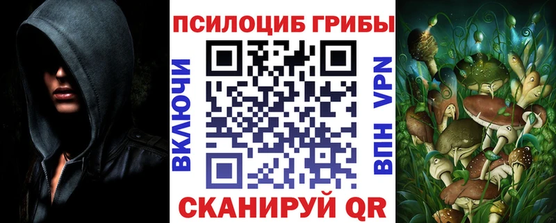 Псилоцибиновые грибы ЛСД  купить наркоту  кракен ССЫЛКА  Кологрив 